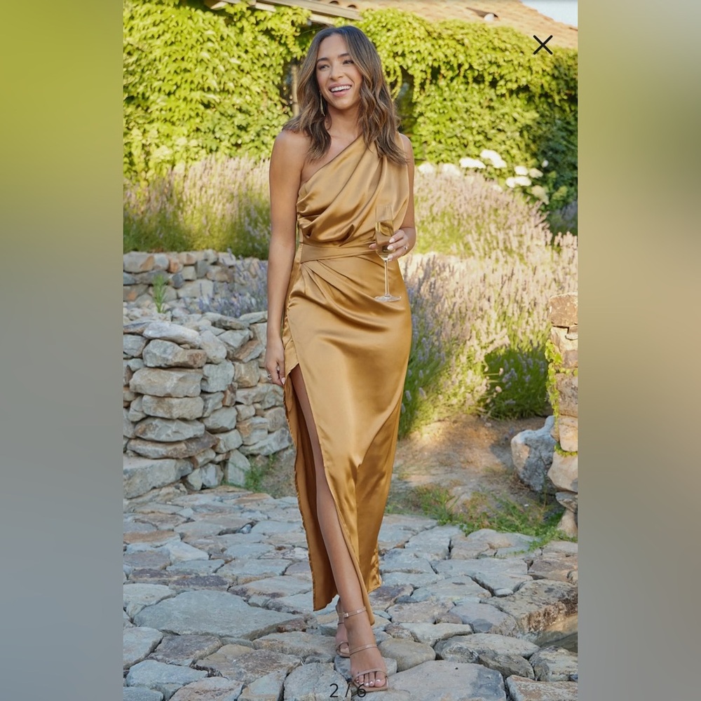 Petal & Pup Nadia Satin One-Shoulder Gold Dress Size Medium 8 Bronze - Picture 2 of 6